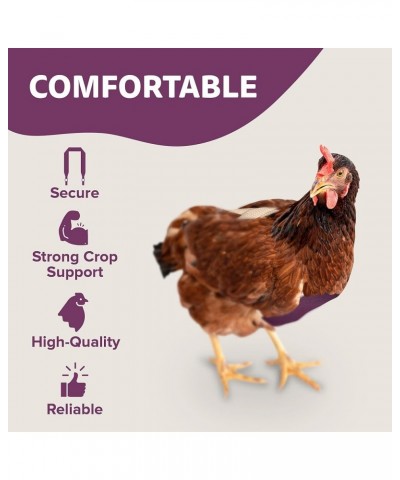 Standard Chicken Tie-on Crop Bra, Purple Large Chickens Tie-on Purple $16.47 Lingerie