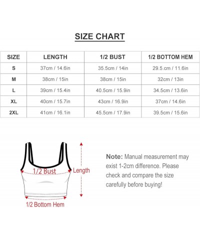 Women's Workout 2 Piece Outfits Rainbow Gay Pride High Waist Running Shorts Seamless Gym Yoga Sports Bra Cool Stylish Gay Wor...