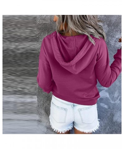 Baggy Hoodies for Women,Autumn Winter Plain Basic Button Down Pullover Casual Long Sleeve Sweatshirt with Pocket C-purple $12...