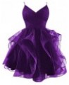 Glitter Tulle Spaghetti Straps Short Prom Dresses for Teens Tiered Homecoming Dresses 2024 V-Neck Mini Cocktail Dress Purple ...